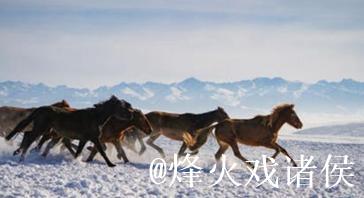 冰雪昭苏迎客来